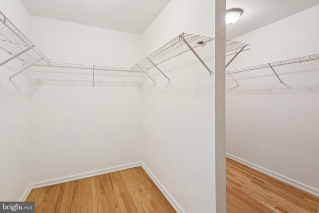 2 Teaberry Ct, Shamong, NJ 08088 - spacious closet featuring wood finished floors