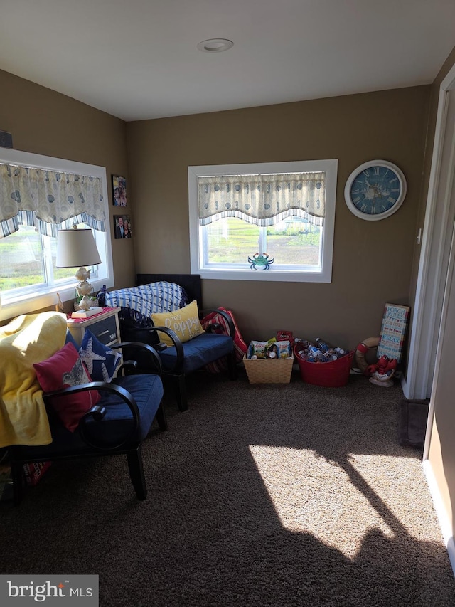 367 Dock Rd, West Creek, NJ 08092 - living area featuring carpet flooring