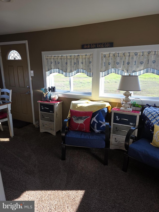 367 Dock Rd, West Creek, NJ 08092 - carpeted living room featuring plenty of natural light