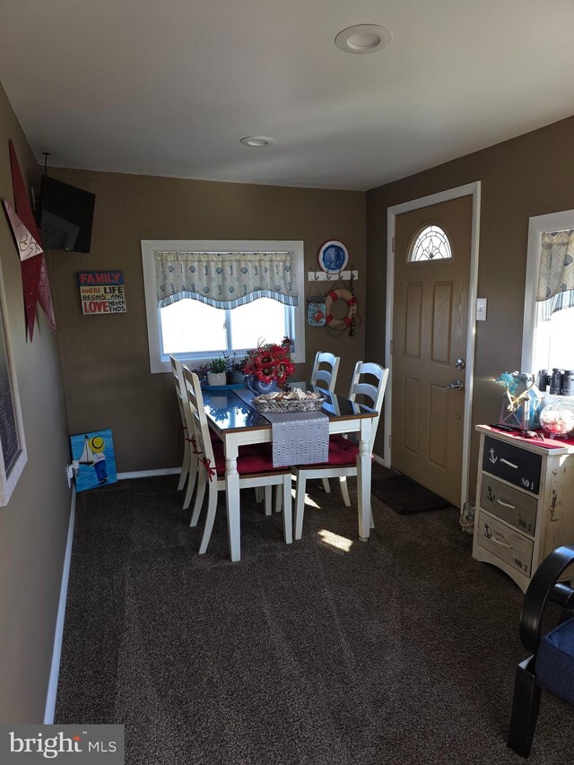 367 Dock Rd, West Creek, NJ 08092 - dining space with healthy amount of natural light and dark colored carpet