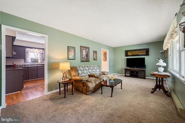 108 Oakmont Cir, Winchester, VA 22602 - carpeted living room featuring baseboards