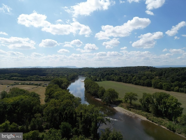 230 Spring Hollow Rd, Front Royal, VA 22630 - drone / aerial view of a forest and a large body of water