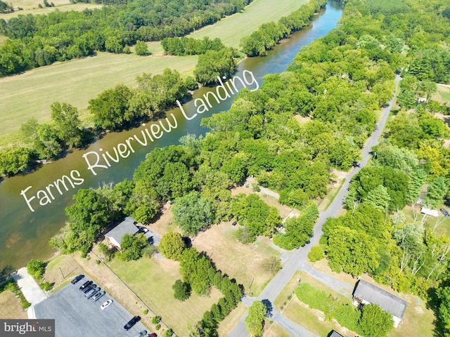 230 Spring Hollow Rd, Front Royal, VA 22630 - bird's eye view of a large body of water