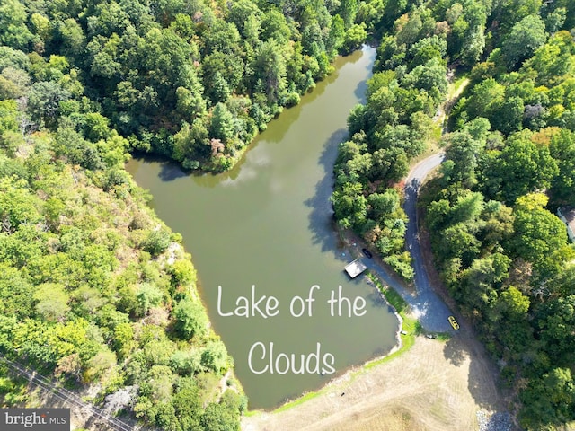 230 Spring Hollow Rd, Front Royal, VA 22630 - drone / aerial view of a nearby body of water