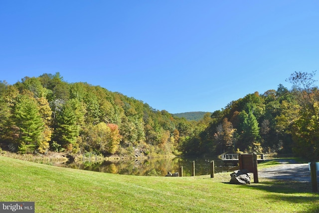 230 Spring Hollow Rd, Front Royal, VA 22630 - view of home's community featuring a view of trees, a lawn, and a water and mountain view