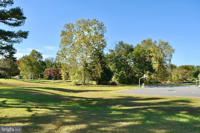 230 Spring Hollow Rd, Front Royal, VA 22630 - view of community featuring community basketball court, a lawn, and view of scattered trees