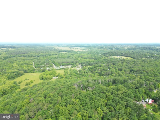 230 Spring Hollow Rd, Front Royal, VA 22630 - aerial view of a forest