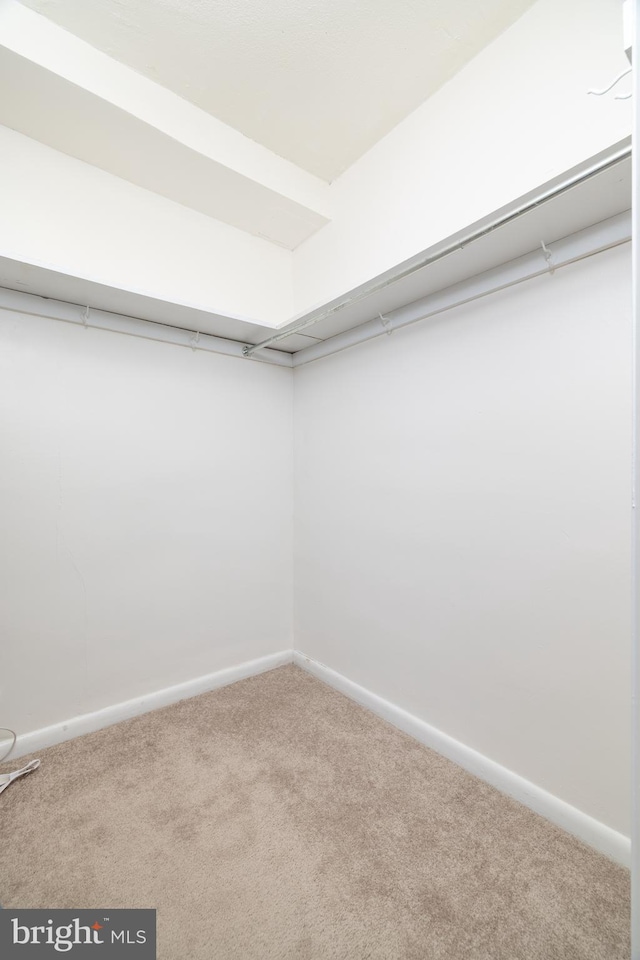 1301 N Harrison St Unit 1108, Wilmington, DE 19806 - spacious closet with carpet floors