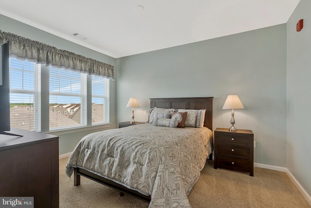 20620 Hope Spring Ter Unit 401, Ashburn, VA 20147 - bedroom with carpet and baseboards