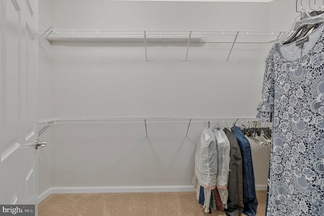 20620 Hope Spring Ter Unit 401, Ashburn, VA 20147 - walk in closet with carpet flooring