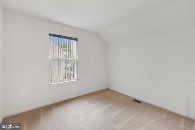 101 Glencoe Ct, Newark, DE 19702 - additional living space with carpet flooring, vaulted ceiling, and baseboards