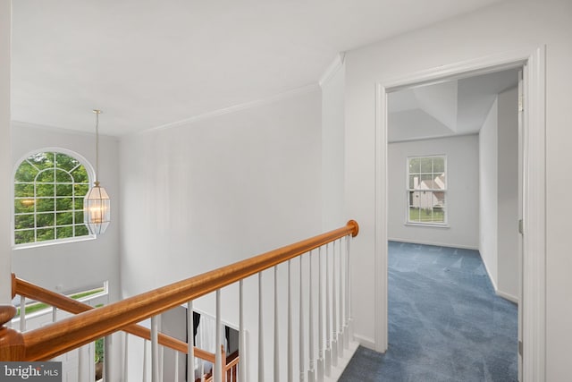 101 Glencoe Ct, Newark, DE 19702 - hallway featuring carpet, an upstairs landing, healthy amount of natural light, and baseboards
