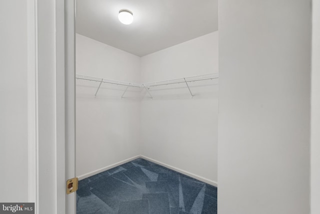 101 Glencoe Ct, Newark, DE 19702 - spacious closet featuring dark colored carpet