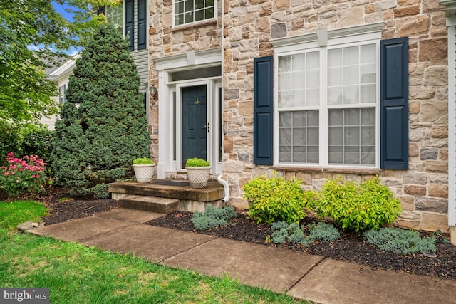 101 Glencoe Ct, Newark, DE 19702 - property entrance featuring stone siding
