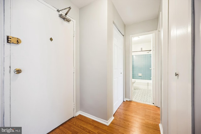 8601 Manchester Rd Unit 319, Silver Spring, MD 20901 - hall with light wood-type flooring and baseboards