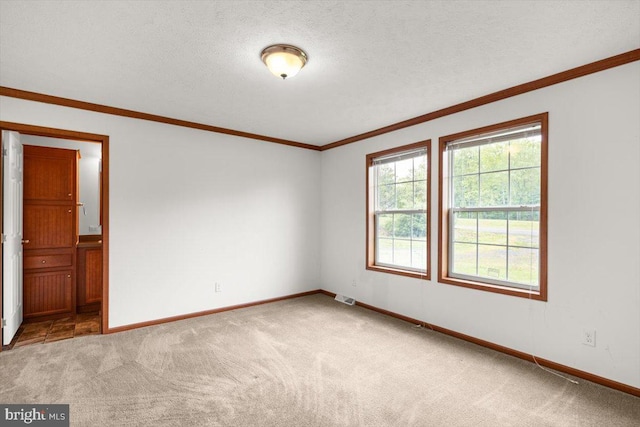 4767 S Ox Rd, Edinburg, VA 22824 - empty room featuring carpet flooring, crown molding, and a textured ceiling