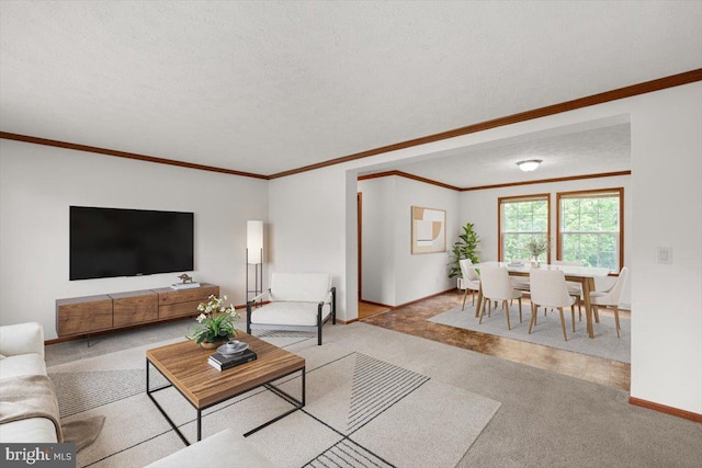4767 S Ox Rd, Edinburg, VA 22824 - carpeted living area featuring a textured ceiling and ornamental molding