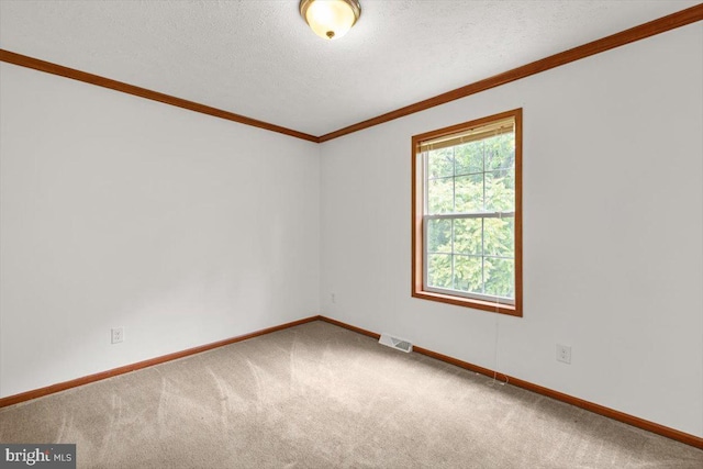 4767 S Ox Rd, Edinburg, VA 22824 - carpeted spare room with crown molding and a textured ceiling