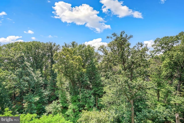 5902 Mount Eagle Dr Unit 718, Alexandria, VA 22303 - view of wooded area