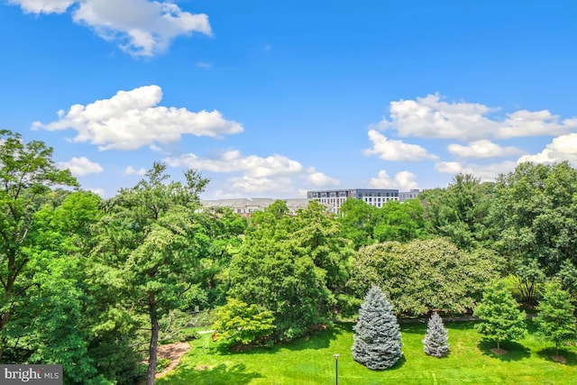 5902 Mount Eagle Dr Unit 718, Alexandria, VA 22303 - view of grassy yard