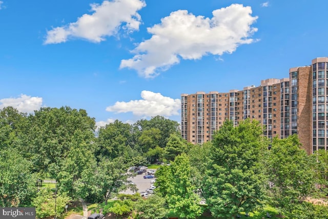 5902 Mount Eagle Dr Unit 718, Alexandria, VA 22303 - view of building exterior