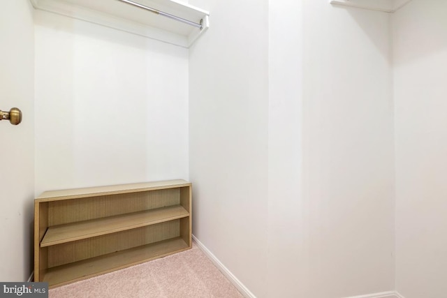 5902 Mount Eagle Dr Unit 718, Alexandria, VA 22303 - spacious closet featuring carpet floors