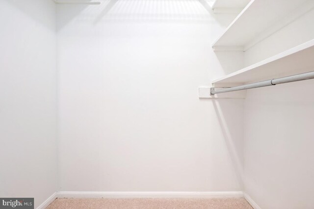 5902 Mount Eagle Dr Unit 718, Alexandria, VA 22303 - walk in closet featuring carpet