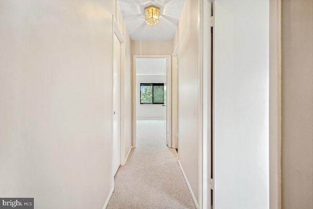 5902 Mount Eagle Dr Unit 718, Alexandria, VA 22303 - hallway featuring light colored carpet and baseboards