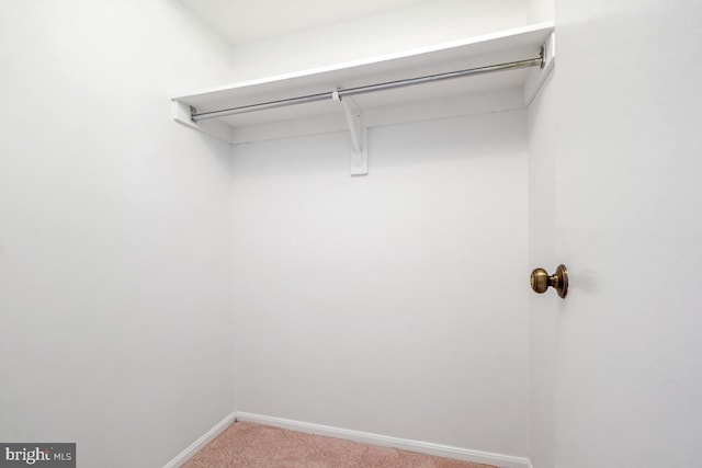 5902 Mount Eagle Dr Unit 718, Alexandria, VA 22303 - walk in closet with light colored carpet