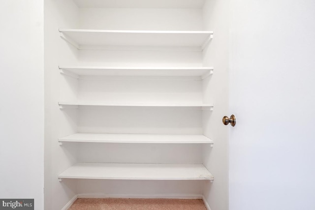5902 Mount Eagle Dr Unit 718, Alexandria, VA 22303 - view of closet