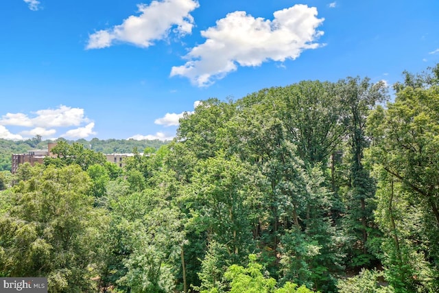 5902 Mount Eagle Dr Unit 718, Alexandria, VA 22303 - view of tree filled area