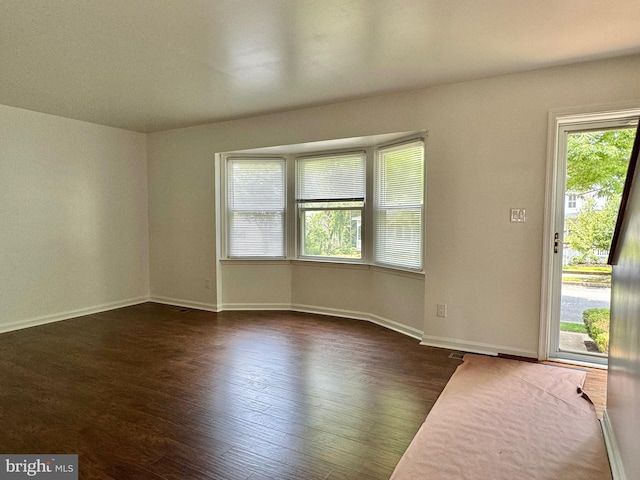 225 N New St, Dover, DE 19904 - entryway featuring plenty of natural light and dark wood-type flooring