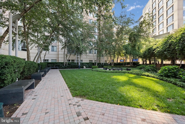 851 N Glebe Rd Unit 1508, Arlington, VA 22203 - surrounding community with a yard