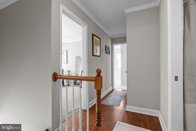 3 Adrian Pl, Newtown, PA 18940 - foyer featuring hardwood / wood-style flooring, crown molding, and baseboards