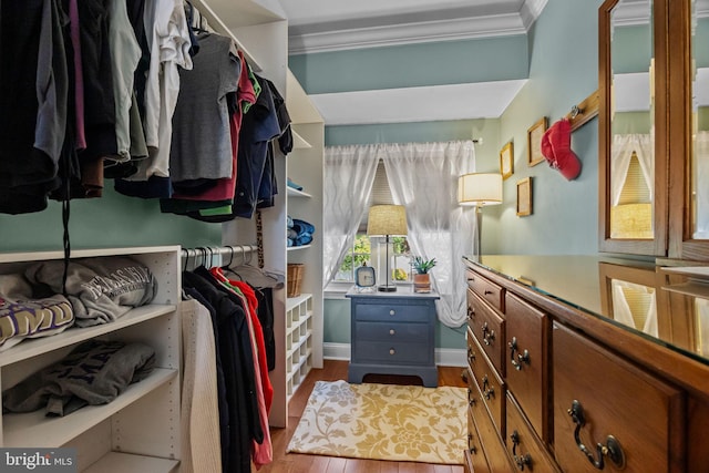3 Adrian Pl, Newtown, PA 18940 - spacious closet featuring wood finished floors