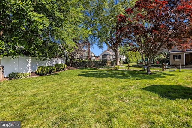 3 Adrian Pl, Newtown, PA 18940 - view of yard