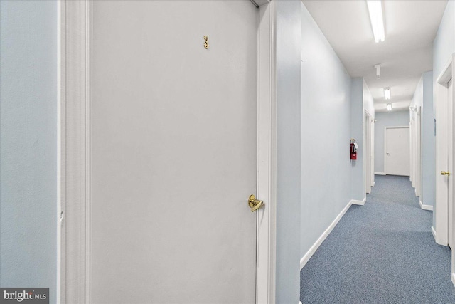 110 Chevy Chase St Unit 301, Gaithersburg, MD 20878 - hall featuring carpet flooring and baseboards
