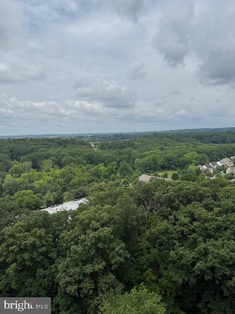 309 Yoakum Pkwy Unit 1809, Alexandria, VA 22304 - bird's eye view of a forest