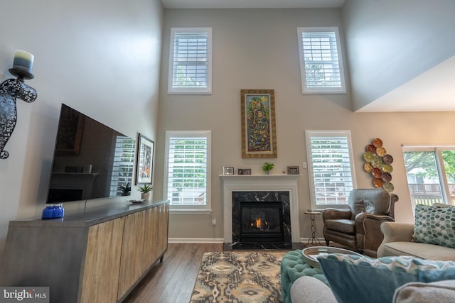 102 Warwick Way N, Wales, PA 19454 - living area with a high ceiling, wood finished floors, a premium fireplace, and baseboards