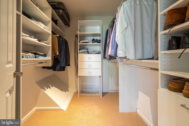 102 Warwick Way N, Wales, PA 19454 - spacious closet with carpet flooring