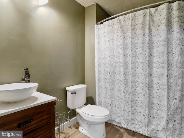 121 Defense Ct, Hedgesville, WV 25427 - full bath featuring toilet, vanity, wood finished floors, and a shower with shower curtain