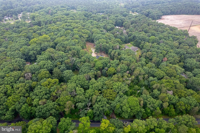 535 Friesburg Aldine, Elmer, NJ 08318 - aerial view of a heavily wooded area