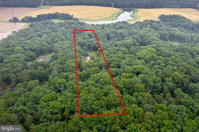 535 Friesburg Aldine, Elmer, NJ 08318 - aerial view of property and surrounding area featuring a heavily wooded area and property boundaries highlighted