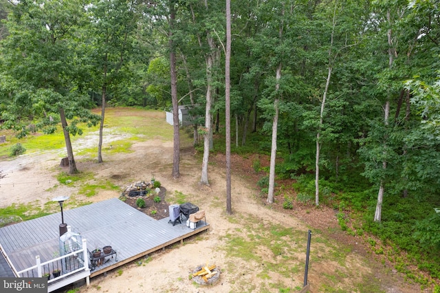 535 Friesburg Aldine, Elmer, NJ 08318 - drone / aerial view