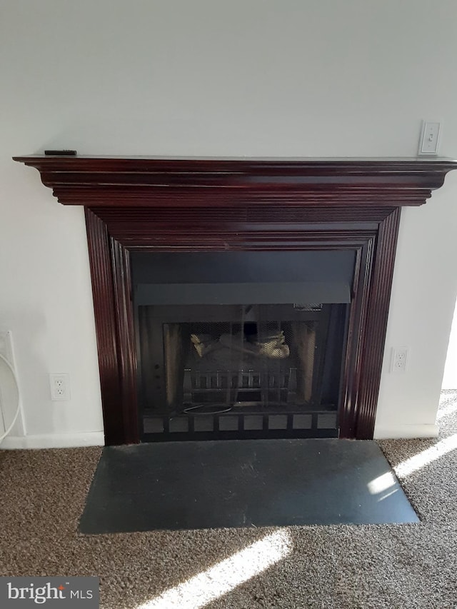 2046 Lucas Ln, Voorhees, NJ 08043 - detailed view of a fireplace with flush hearth and carpet