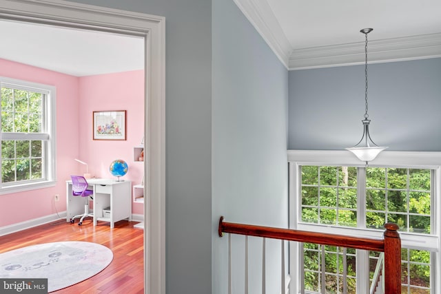 4300 Mountain Laurel Way, Brandywine, MD 20613 - detailed view of crown molding, wood finished floors, baseboards, and an office area
