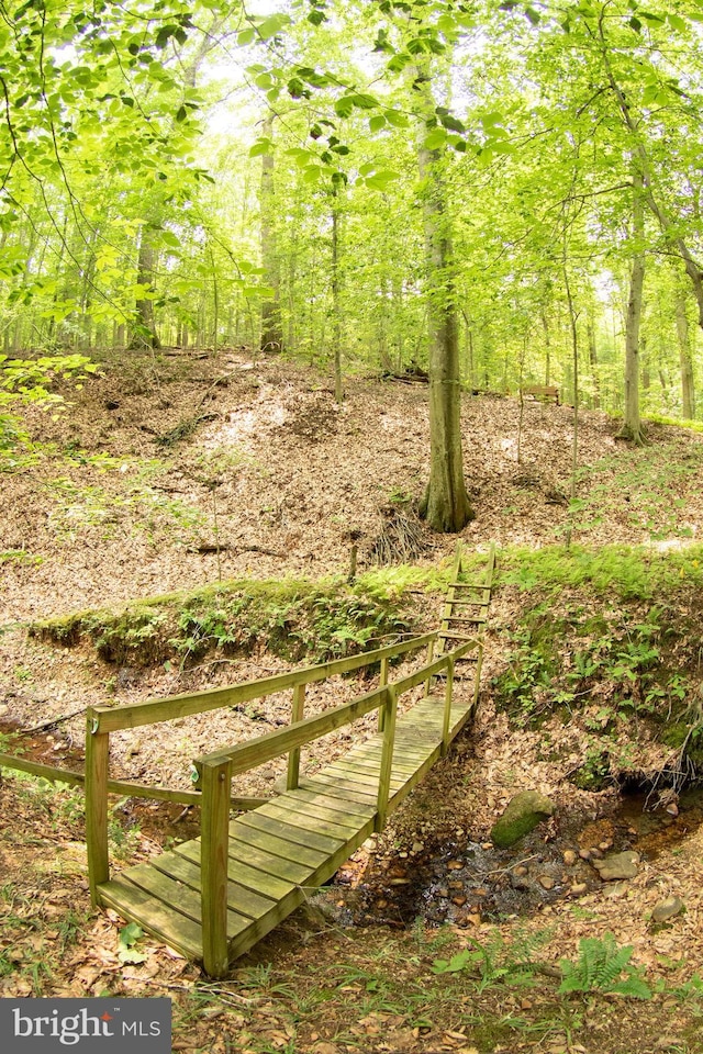 2720 Hidden Valley Rd, Accokeek, MD 20607 - view of yard