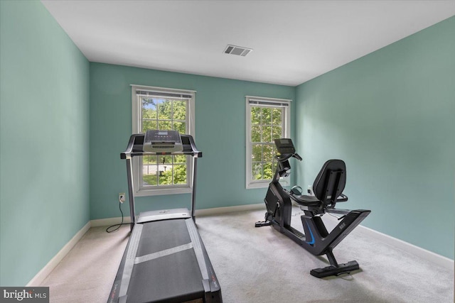 1381 Sunwood Ter, Annapolis, MD 21409 - exercise room featuring baseboards and carpet floors