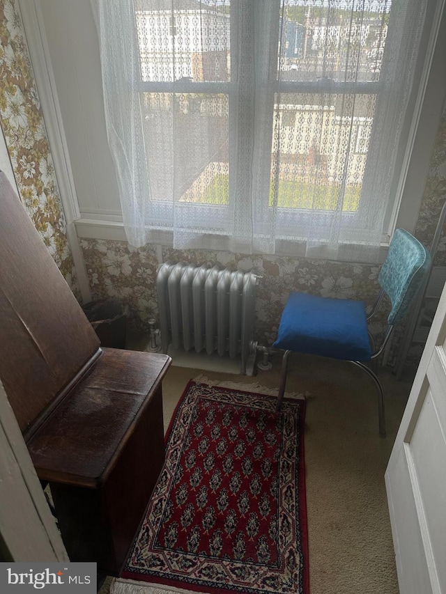409 S Balliet St, Frackville, PA 17931 - living area featuring radiator heating unit and carpet floors
