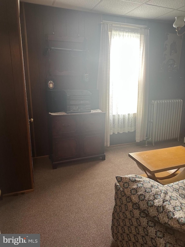 409 S Balliet St, Frackville, PA 17931 - carpeted bedroom with radiator heating unit and multiple windows